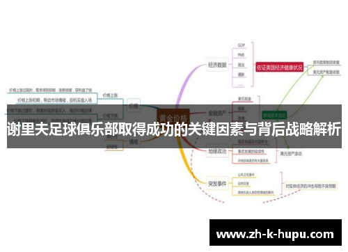 谢里夫足球俱乐部取得成功的关键因素与背后战略解析