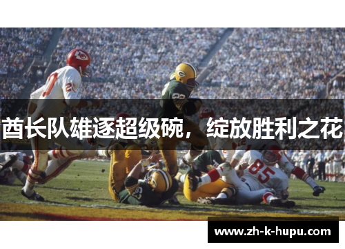 酋长队雄逐超级碗，绽放胜利之花