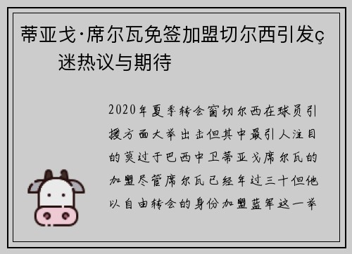 蒂亚戈·席尔瓦免签加盟切尔西引发球迷热议与期待