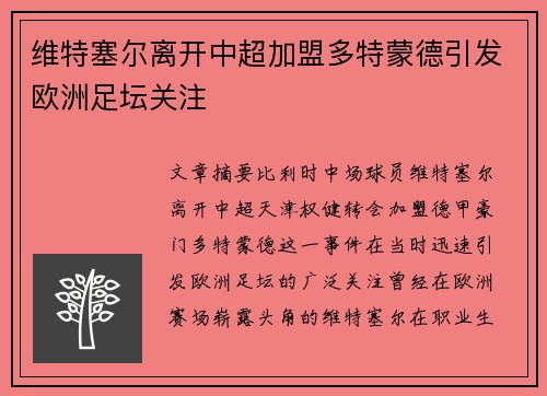 维特塞尔离开中超加盟多特蒙德引发欧洲足坛关注
